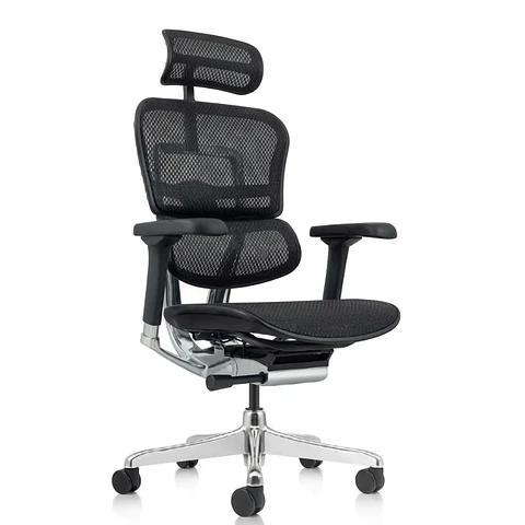 Silla Gerencial Ergohuman Elite