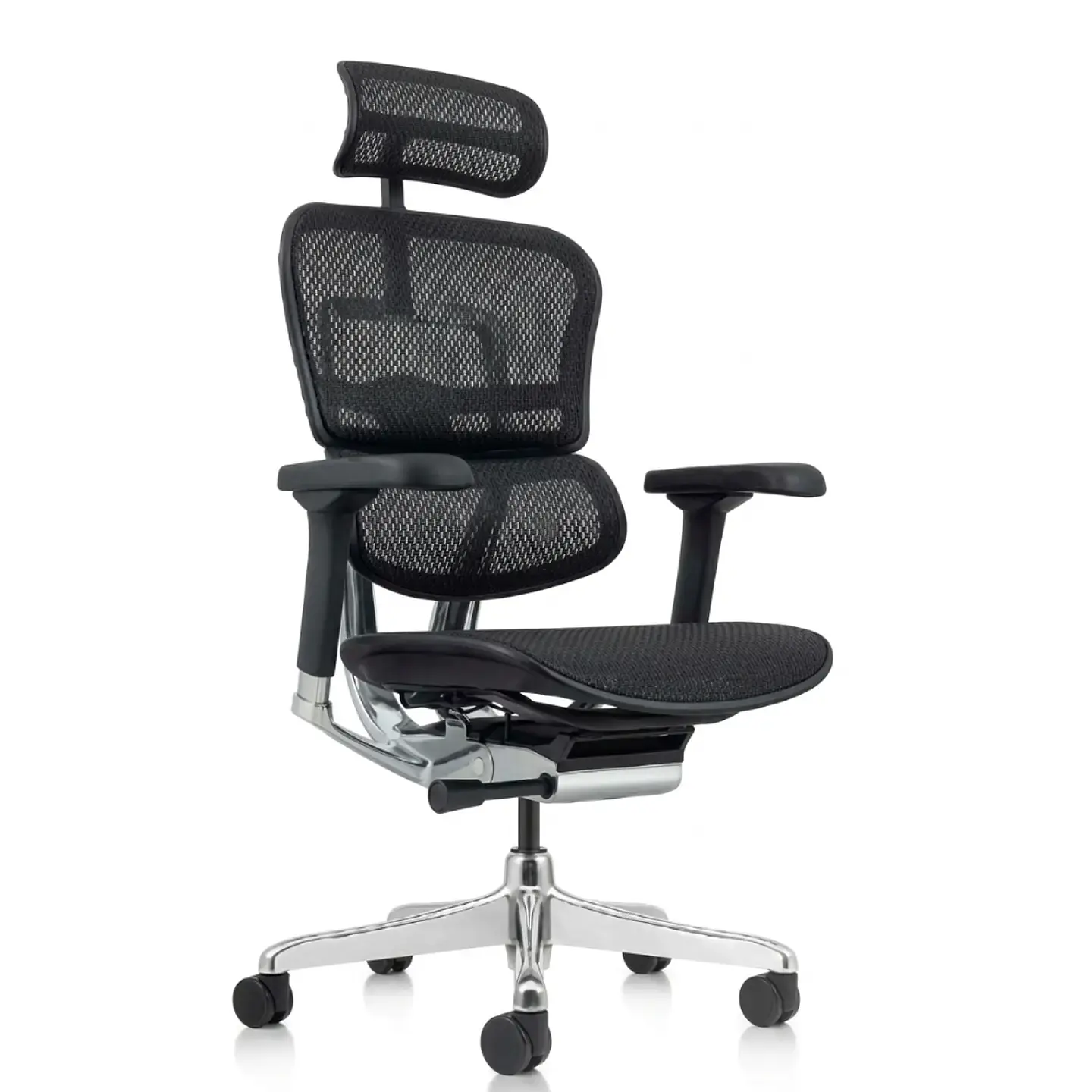 Silla Gerencial Ergohuman Elite 1