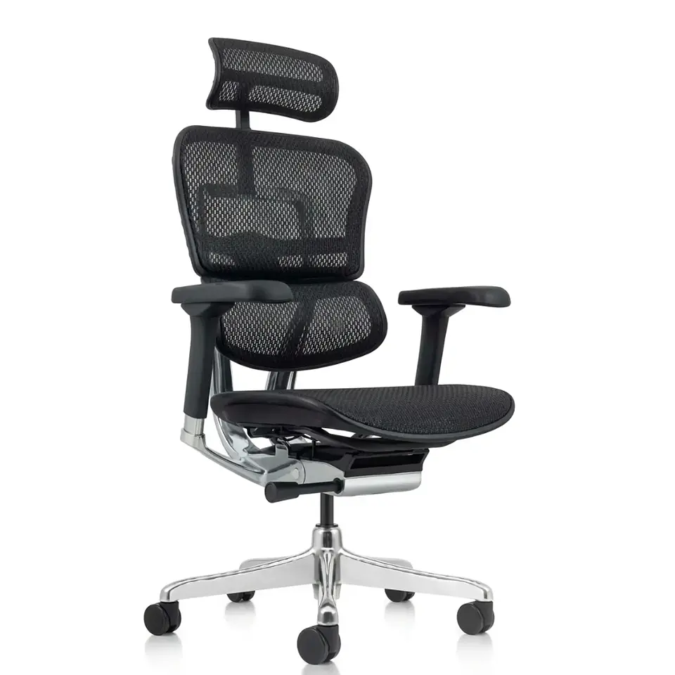 Silla Gerencial Ergohuman Elite 1