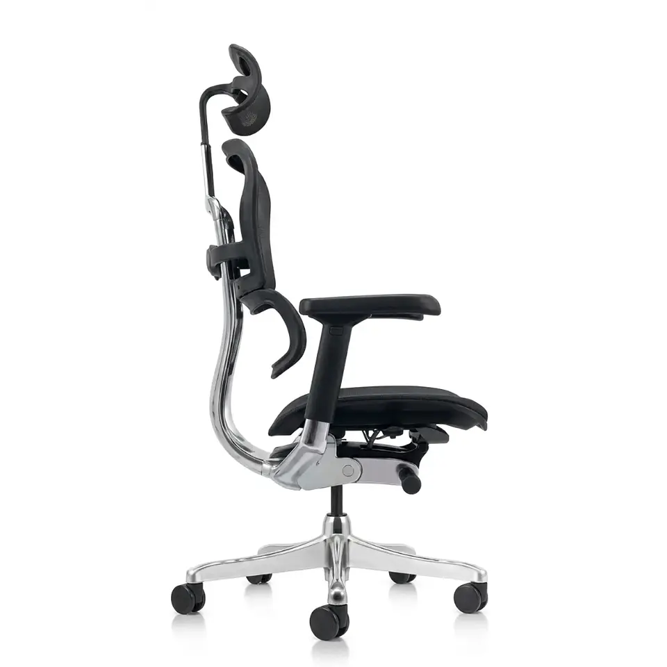 Silla Gerencial Ergohuman Elite 2