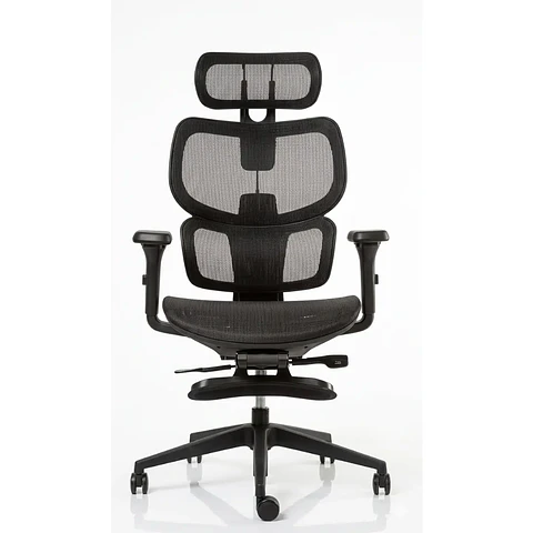 Sillas Gerenciales Ergoplus