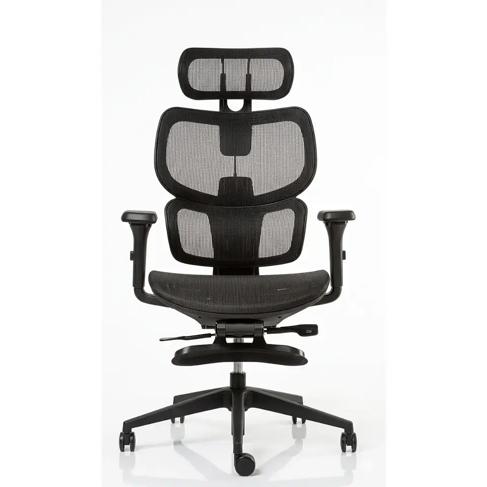 Sillas Gerenciales Ergoplus 1