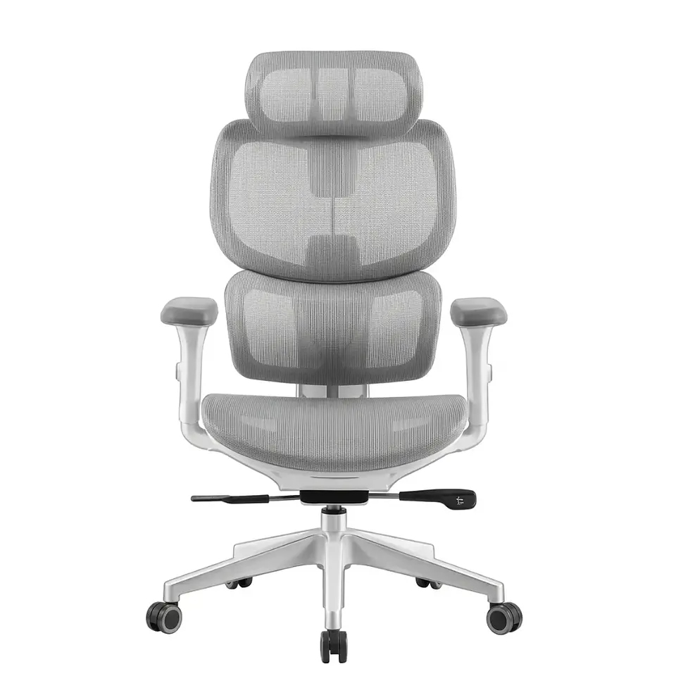 Sillas Gerenciales Ergoplus 4