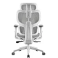 Sillas Gerenciales Ergoplus - Miniatura 6