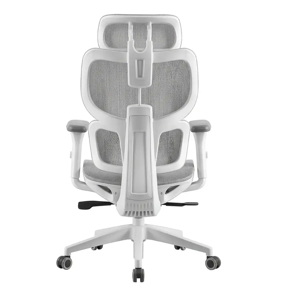 Sillas Gerenciales Ergoplus 6
