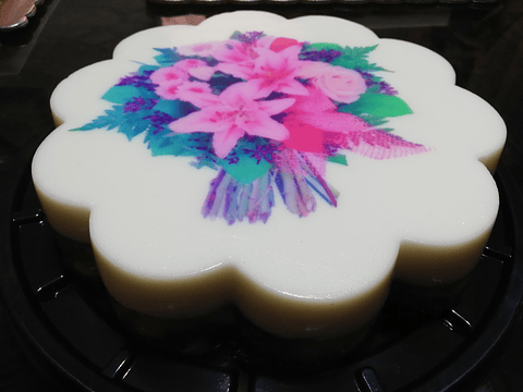 Transfer gelatina 21 a 27 cms diámetro