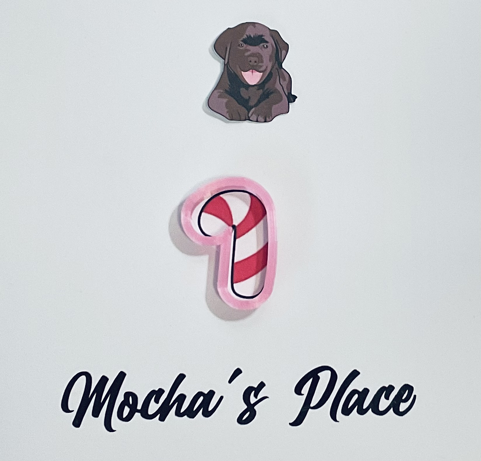 Cortador para galleta caramelo 1