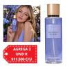 Midnight Bloom Victoria's Secret - 250 ML 