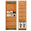 Shampoo Tinte Disaar Ginseng 400 ml Marrón Natural 