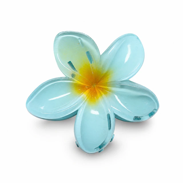 Pack de 6 Pinches de Cabello Flor Hawaiana Translúcida - Colores Surtidos 
