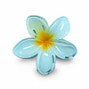 Pack de 6 Pinches de Cabello Flor Hawaiana Translúcida - Colores Surtidos 