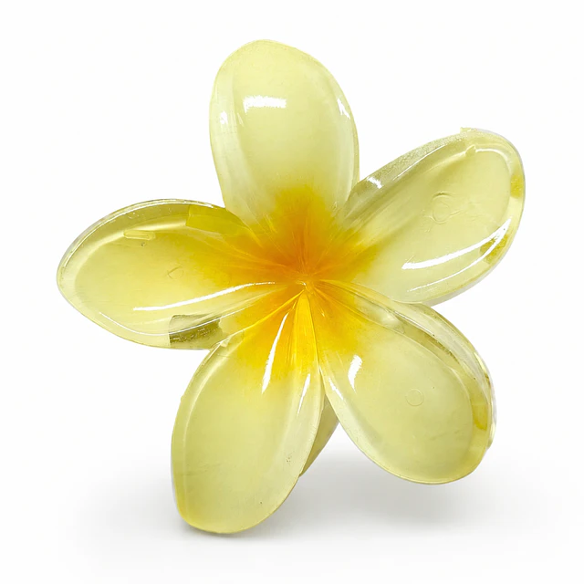 Pack de 6 Pinches de Cabello Flor Hawaiana Translúcida - Colores Surtidos 