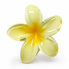 Pack de 6 Pinches de Cabello Flor Hawaiana Translúcida - Colores Surtidos 