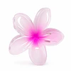 Pack de 6 Pinches de Cabello Flor Hawaiana Translúcida - Colores Surtidos 