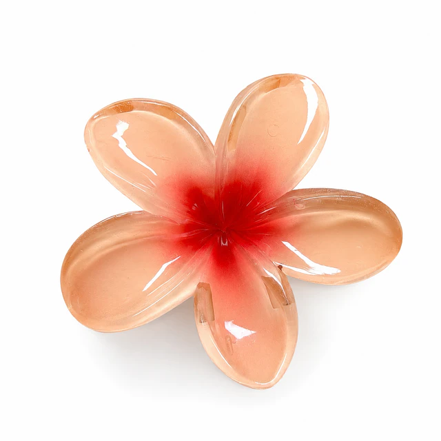 Pack de 6 Pinches de Cabello Flor Hawaiana Translúcida - Colores Surtidos 