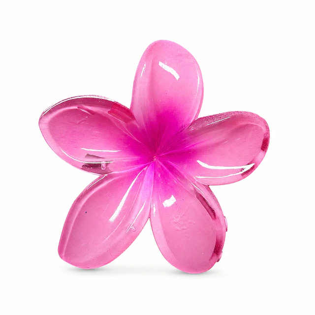 Pack de 6 Pinches de Cabello Flor Hawaiana Translúcida - Colores Surtidos 