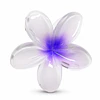 Pack de 6 Pinches de Cabello Flor Hawaiana Translúcida - Colores Surtidos 