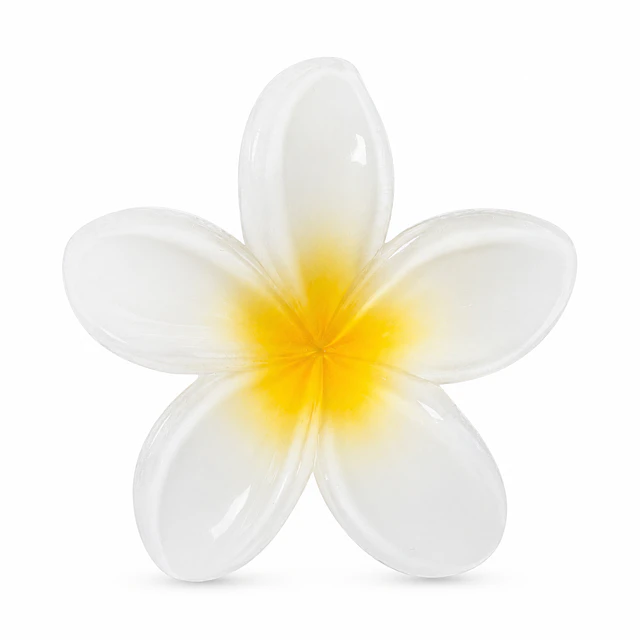 Pack de 6 Pinches de Cabello Flor Hawaiana Translúcida - Colores Surtidos 