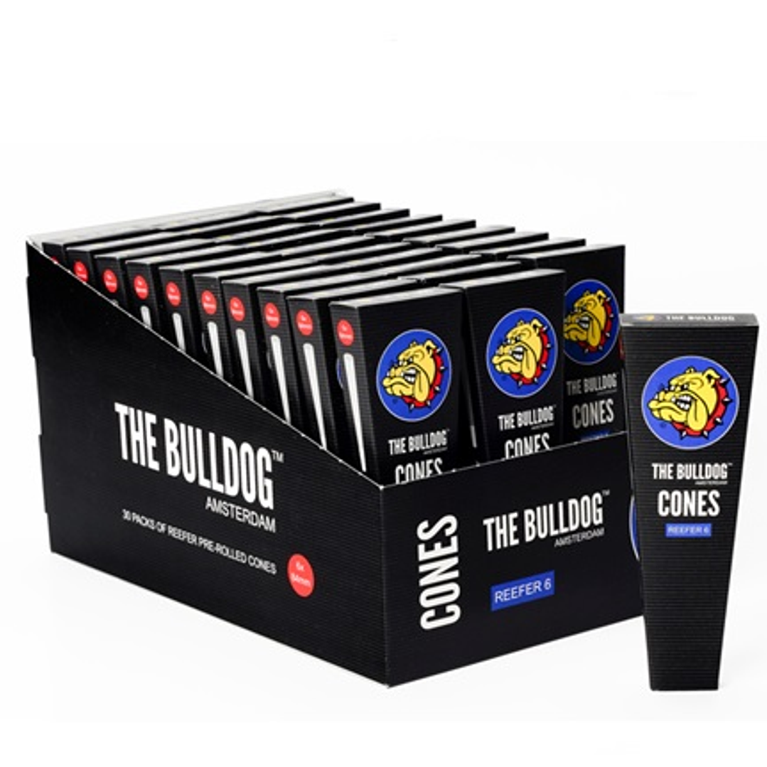 Conos the bulldog amsterdam  1