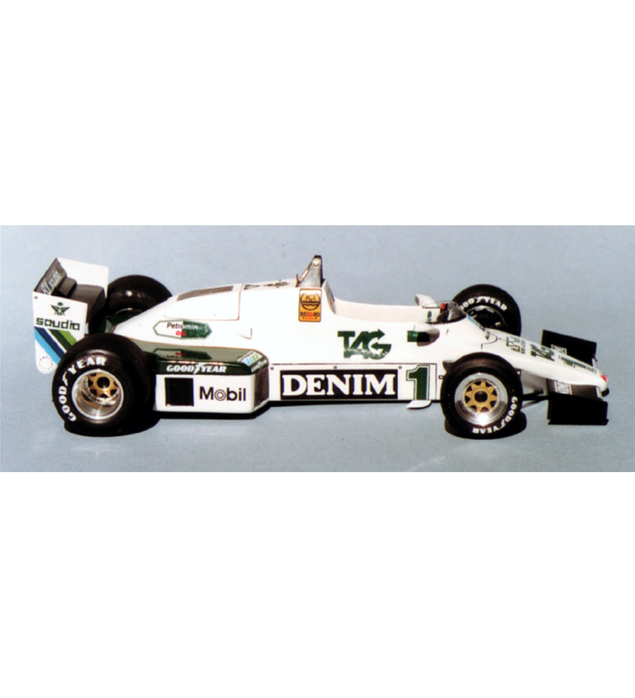 1/20 F1 Resin kit - Williams FW08C - Donington test - 