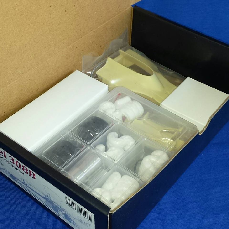 1/20 F1 Resin kit - Hesketh 308B 1975 Holland GP WINNER 4