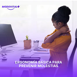 Ergonomía básica para prevenir molestias / 60 Hrs