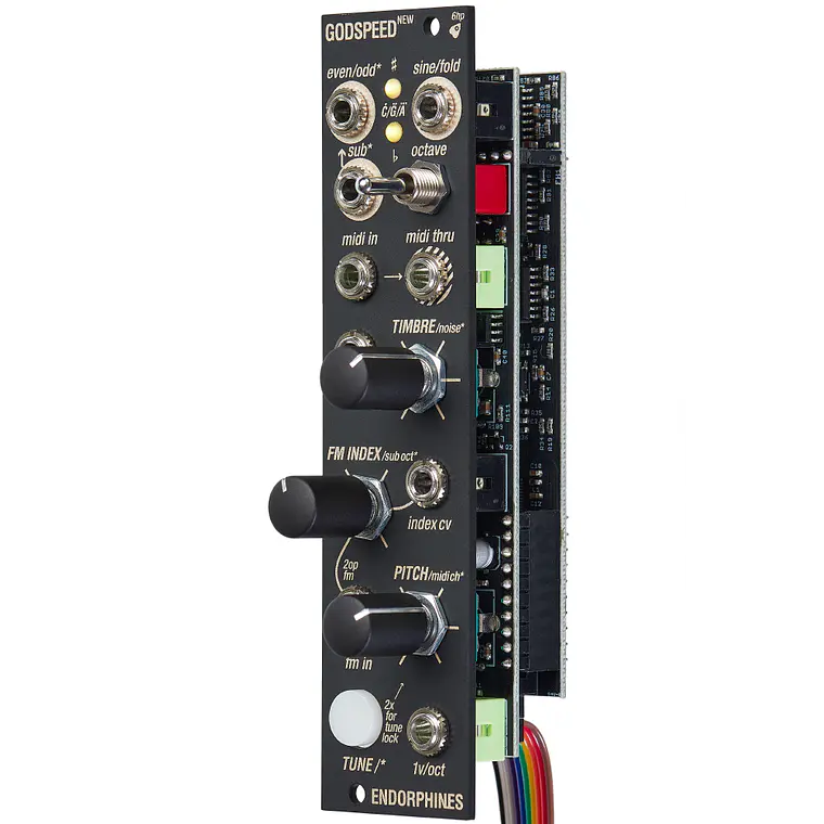 Endorphin.es New Godspeed black 2