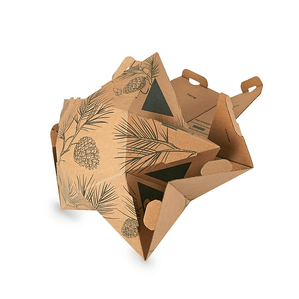 Gift Box Estrela Kraft 6