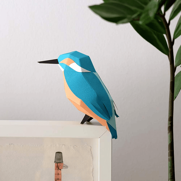 Figura do guarda-rios (Alcedo atthis) 1