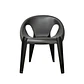 Silla plástica con Brazo Space café - Miniatura 2