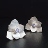 Flor Tanzanita 1