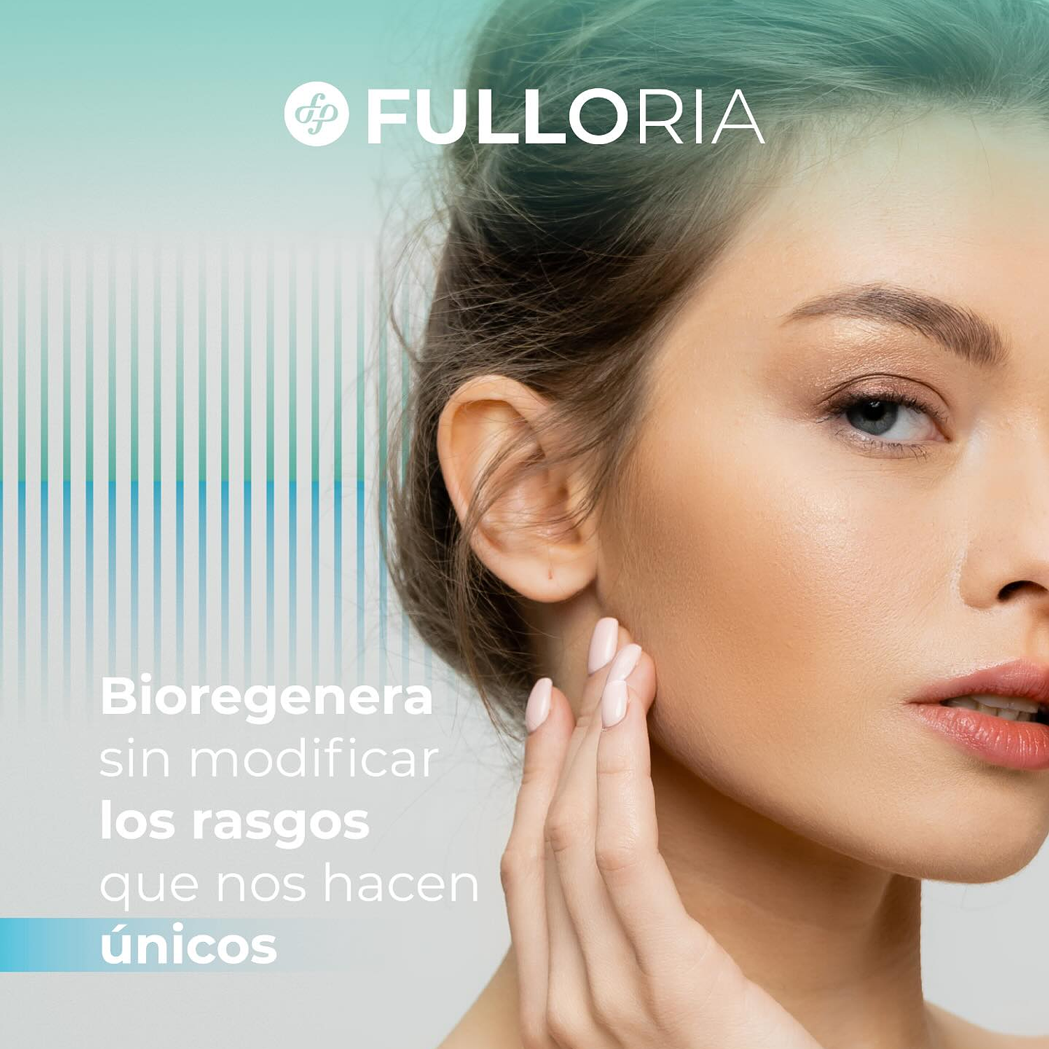 Fulloria 1
