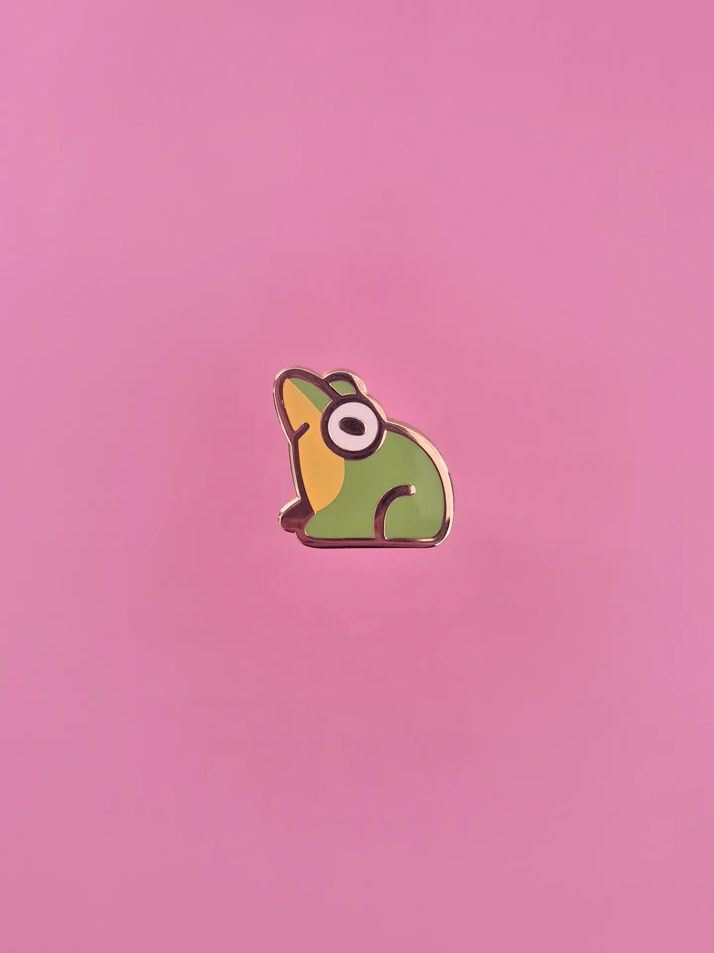 Pin Ranita de Darwin 1