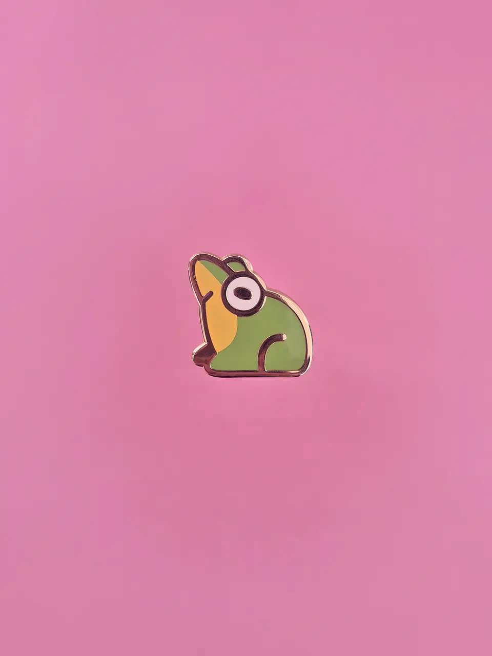 Pin Ranita de Darwin 1