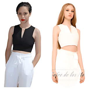 Molde Digital Crop Top Co cinta Gross En Espalda, Talles S Al Xxl