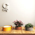 Molde de silicona para hacer macetero o bandeja 1