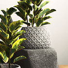 Molde de silicona con encofrado para hacer mini maceteros texturizado 3