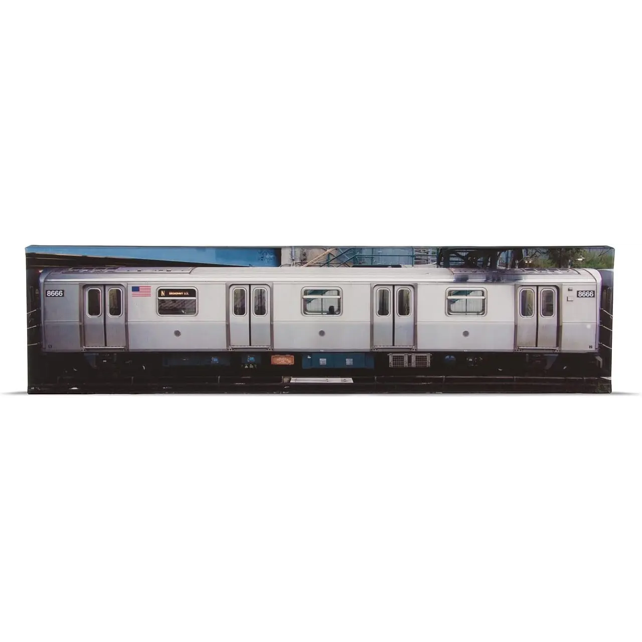 CANVAS TRAIN: METRO DE NYC