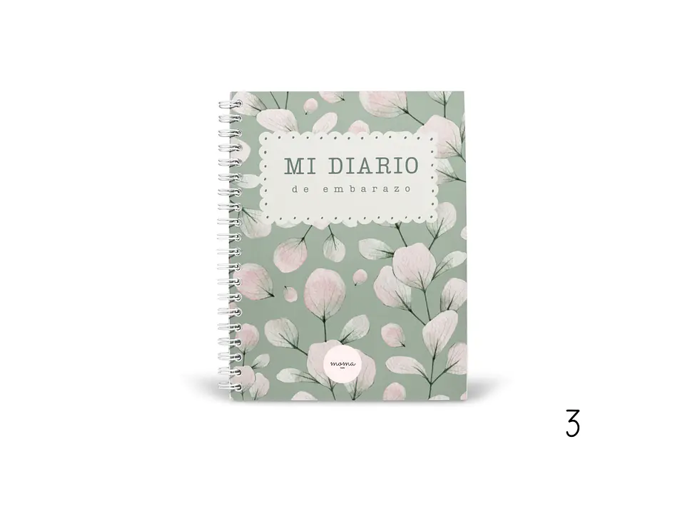 DIARIO DE EMBARAZO 4