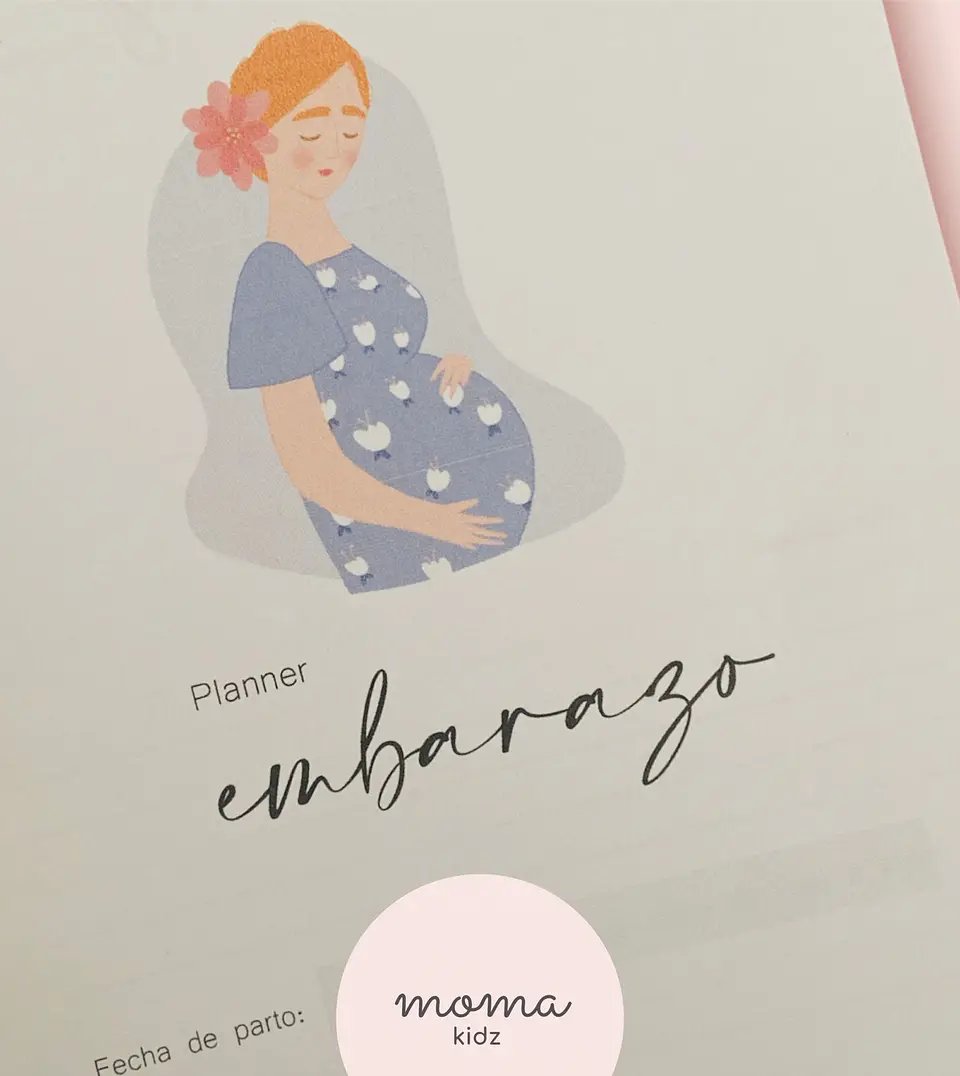 DIARIO DE EMBARAZO 17