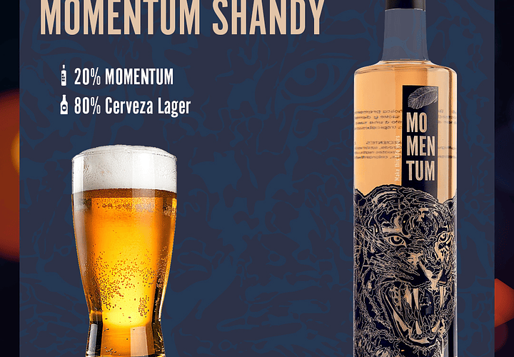 MOMENTUM SHANDY