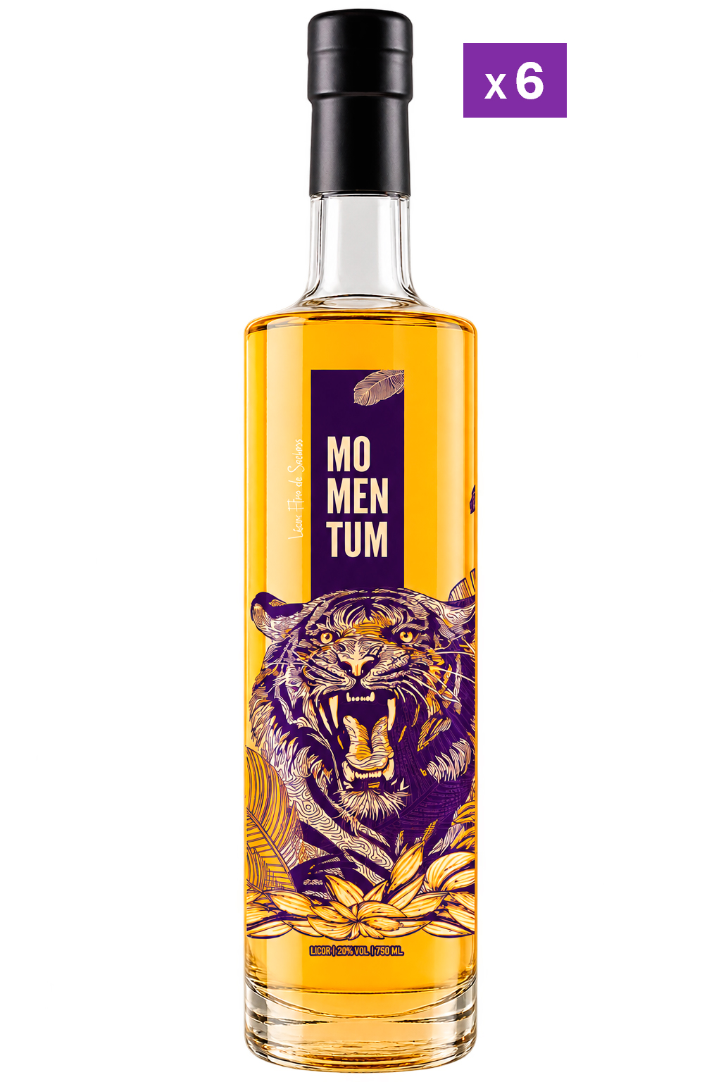 Momentum x6 ($9.990 x Botella) +  Despacho Gratis