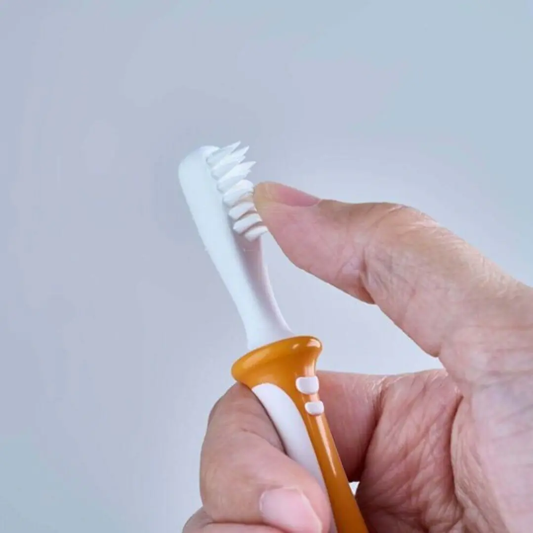 Set de Cepillos Dentales Pigeon – Aprendizaje 3 Pasos 3