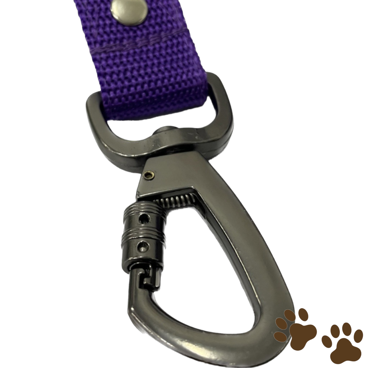 Correa Paseo Larga - Morado 2