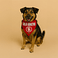 Bandana Dog Tag - 