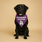 Bandana Dog Tag - 