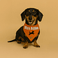 Bandana Dog Tag - 