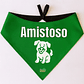 Bandana Dog Tag - 