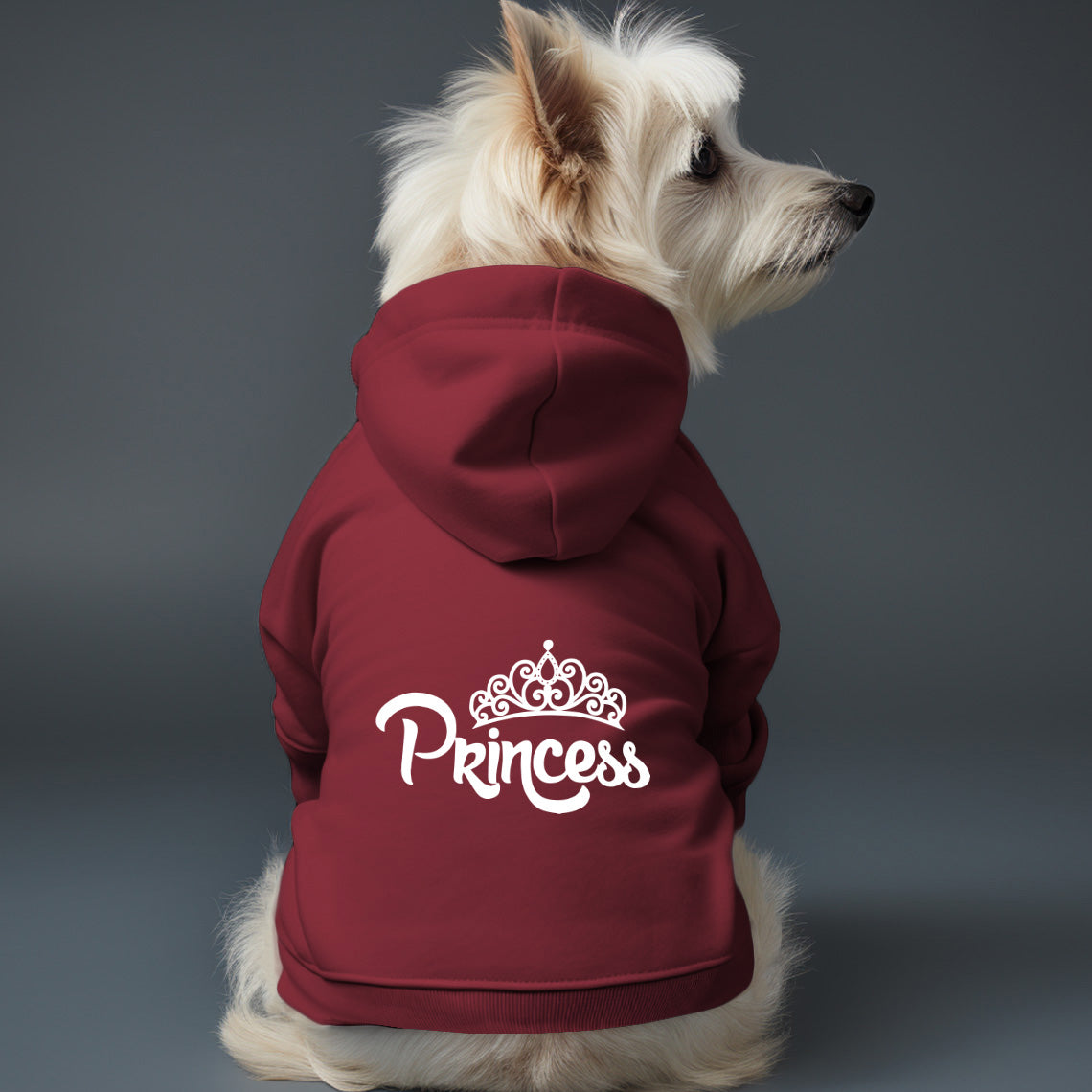 Poleron con Gorro Princess 1