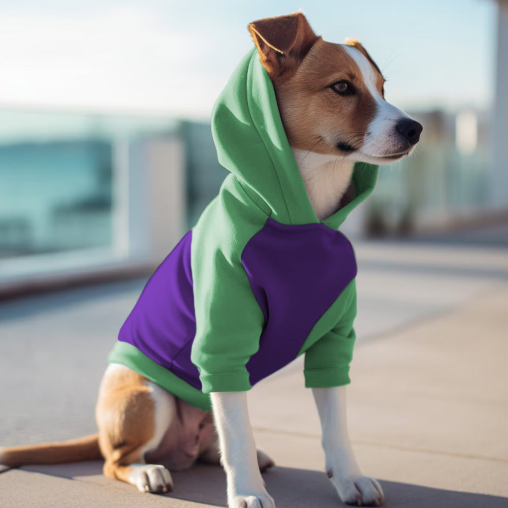 Poleron con Gorro Morado Menta 1